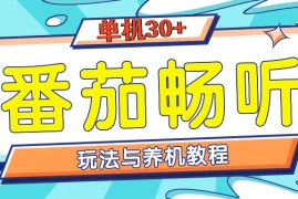 实战（13571期）番茄畅听全方位教程与玩法：一天单设备日入30+不是问题12-04中创网