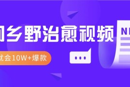 创业项目一学就会，1分钟教会你，10W+爆款田间乡野治愈视频（附提示词技巧）11-21福缘网