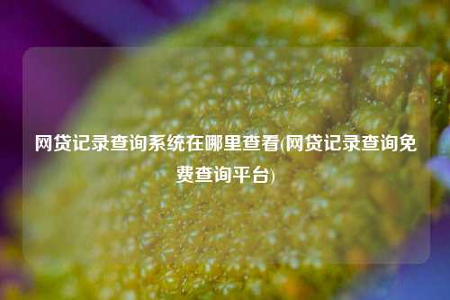 网贷记录查询系统在哪里查看(网贷记录查询免费查询平台)