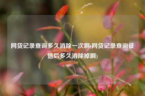 网贷记录查询多久消除一次啊(网贷记录查询征信后多久消除掉啊)