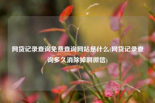 网贷记录查询免费查询网站是什么(网贷记录查询多久消除掉啊微信)