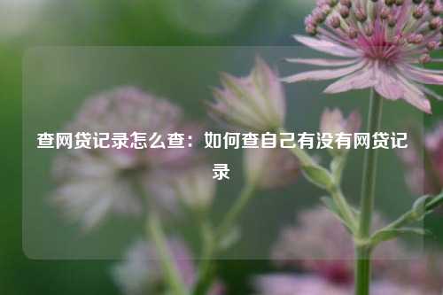 查网贷记录怎么查：如何查自己有没有网贷记录