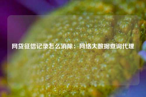 网贷征信记录怎么消除：网络大数据查询代理