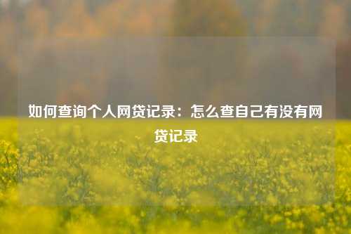 如何查询个人网贷记录：怎么查自己有没有网贷记录
