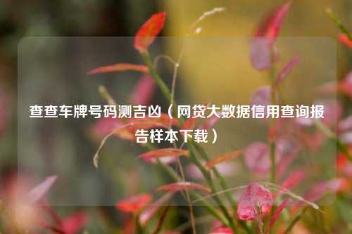查查车牌号码测吉凶（网贷大数据信用查询报告样本下载）