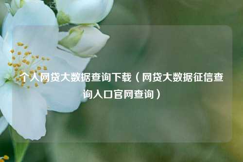 个人网贷大数据查询下载(网贷大数据征信查询入口官网查询)