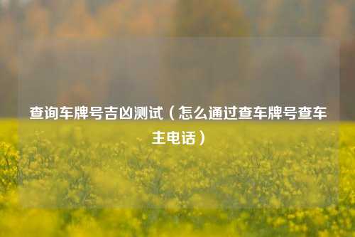 查询车牌号吉凶测试（怎么通过查车牌号查车主电话）
