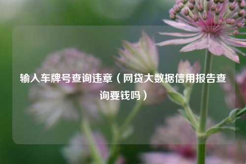 输入车牌号查询违章（网贷大数据信用报告查询要钱吗）