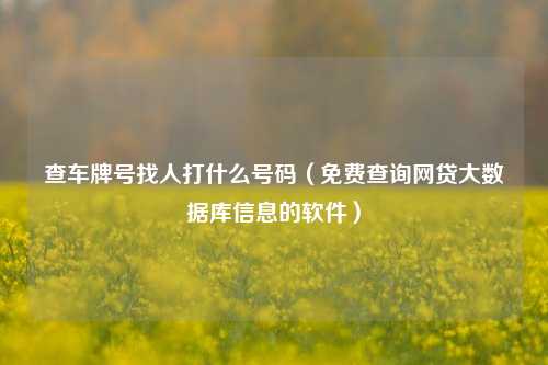 查车牌号找人打什么号码（免费查询网贷大数据库信息的软件）