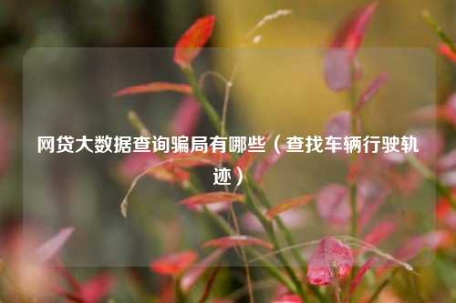网贷大数据查询骗局有哪些（查找车辆行驶轨迹）