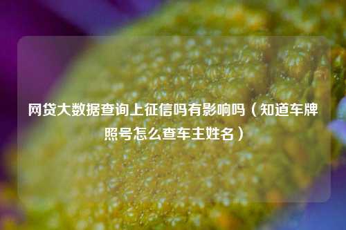 网贷大数据查询上征信吗有影响吗（知道车牌照号怎么查车主姓名）