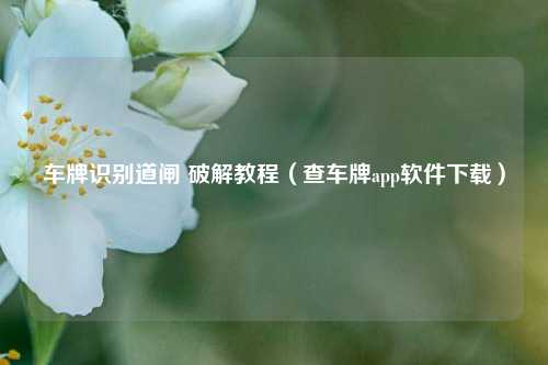 车牌识别道闸 破解教程（查车牌app软件下载）