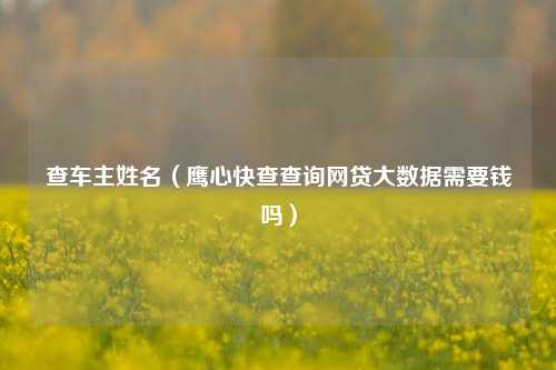 查车主姓名（鹰心快查查询网贷大数据需要钱吗）
