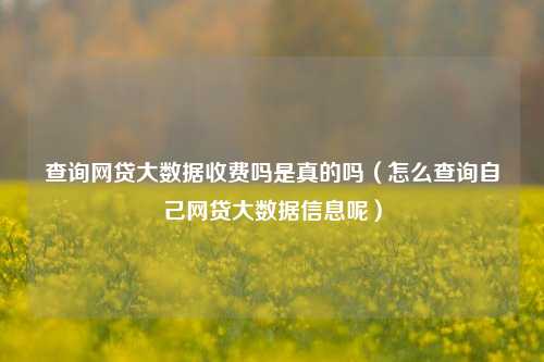 查询网贷大数据收费吗是真的吗（怎么查询自己网贷大数据信息呢）