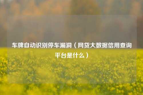车牌自动识别停车漏洞（网贷大数据信用查询平台是什么）