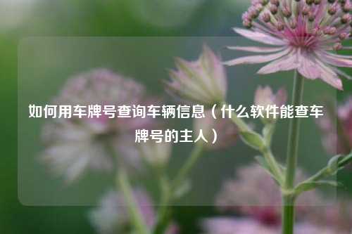 如何用车牌号查询车辆信息（什么软件能查车牌号的主人）