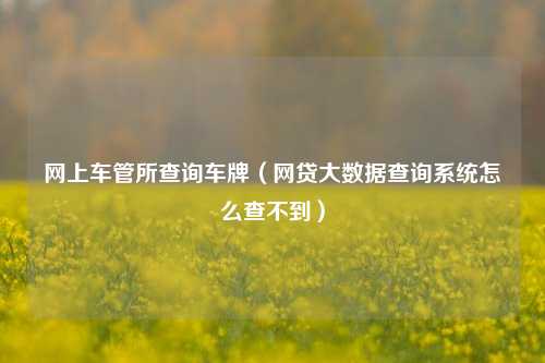 网上车管所查询车牌（网贷大数据查询系统怎么查不到）