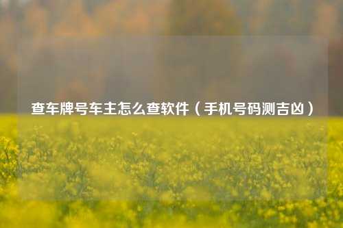 查车牌号车主怎么查软件（手机号码测吉凶）