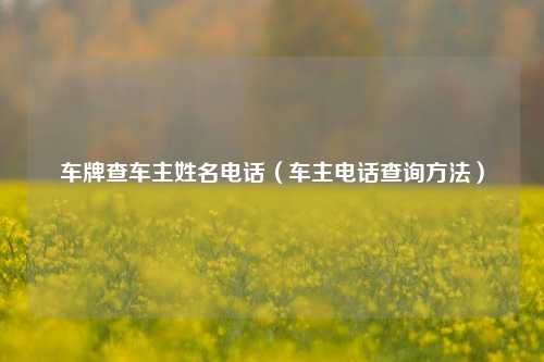 车牌查车主姓名电话(车主电话查询方法)