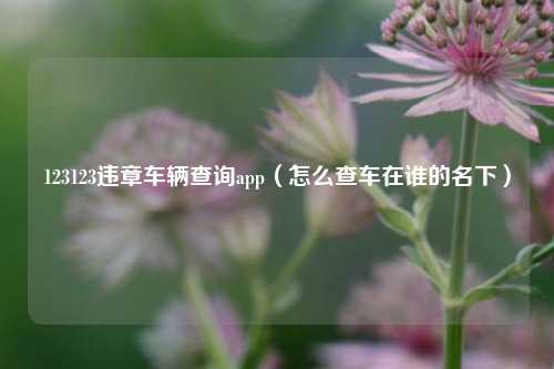 123123违章车辆查询app（怎么查车在谁的名下）