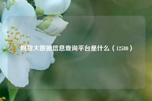 网贷大数据信息查询平台是什么（12580）