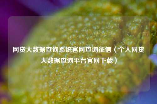 网贷大数据查询系统官网查询征信（个人网贷大数据查询平台官网下载）
