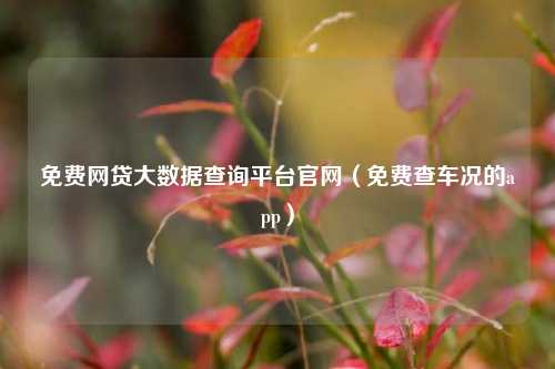 免费网贷大数据查询平台官网（免费查车况的app）