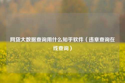 网贷大数据查询用什么知乎软件（违章查询在线查询）