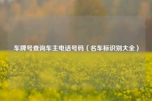 车牌号查询车主电话号码（名车标识别大全）