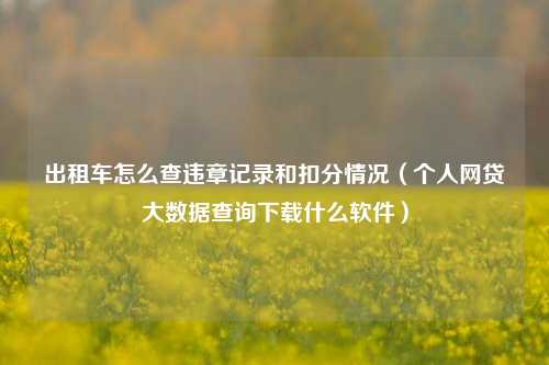 出租车怎么查违章记录和扣分情况（个人网贷大数据查询下载什么软件）