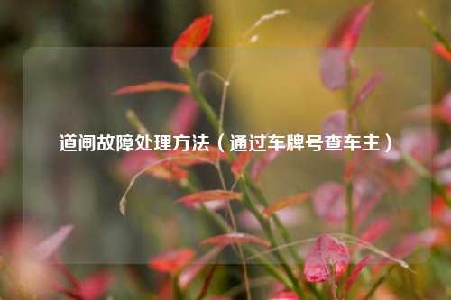 道闸故障处理方法(通过车牌号查车主)