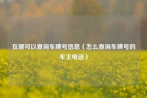 在哪可以查询车牌号信息（怎么查询车牌号的车主电话）