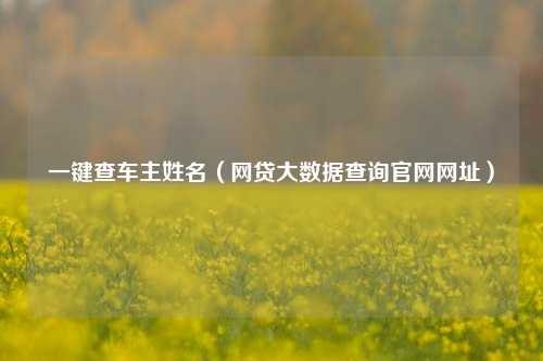 一键查车主姓名（网贷大数据查询官网网址）