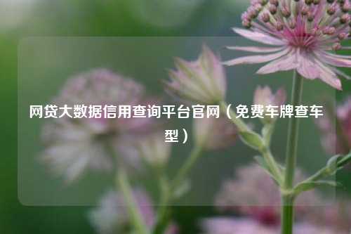 网贷大数据信用查询平台官网（免费车牌查车型）