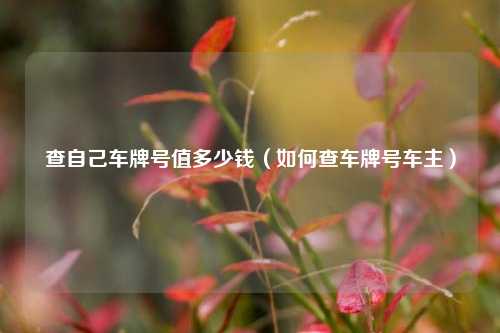 查自己车牌号值多少钱（如何查车牌号车主）