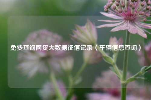 免费查询网贷大数据征信记录（车辆信息查询）