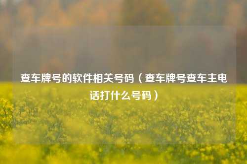 查车牌号的软件相关号码（查车牌号查车主电话打什么号码）