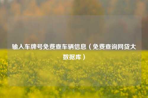 输入车牌号免费查车辆信息（免费查询网贷大数据库）