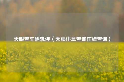 天眼查车辆轨迹(天眼违章查询在线查询)