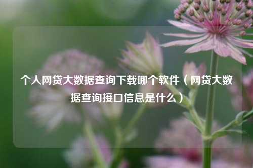 个人网贷大数据查询下载哪个软件（网贷大数据查询接口信息是什么）