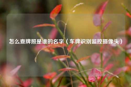 怎么查牌照是谁的名字（车牌识别监控摄像头）