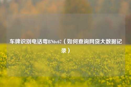 车牌识别电话粤BN6v67（如何查询网贷大数据记录）