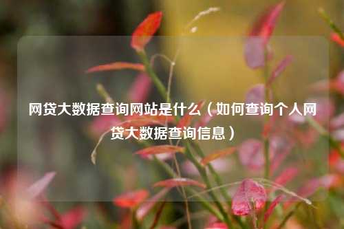 网贷大数据查询网站是什么（如何查询个人网贷大数据查询信息）