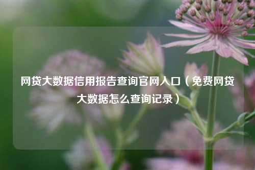 网贷大数据信用报告查询官网入口（免费网贷大数据怎么查询记录）