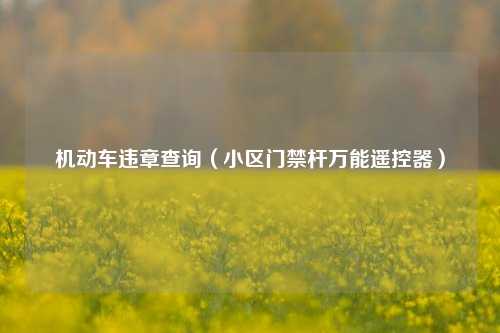 机动车违章查询（小区门禁杆万能遥控器）