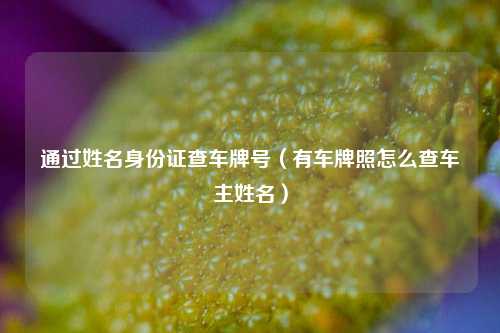 通过姓名身份证查车牌号（有车牌照怎么查车主姓名）