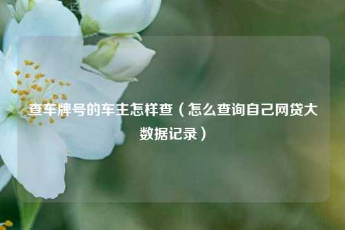 查车牌号的车主怎样查（怎么查询自己网贷大数据记录）