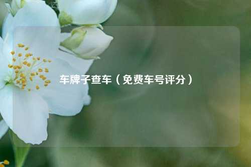车牌子查车（免费车号评分）