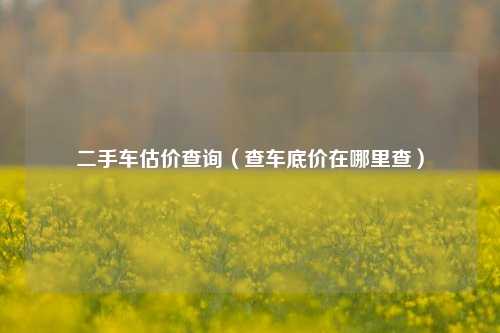 二手车估价查询（查车底价在哪里查）
