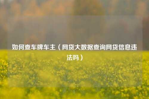 如何查车牌车主（网贷大数据查询网贷信息违法吗）